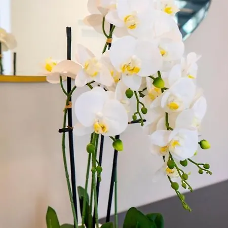 Ultra Luxury 5 Bedroom Retreat With Rooftop Solarium 빌라