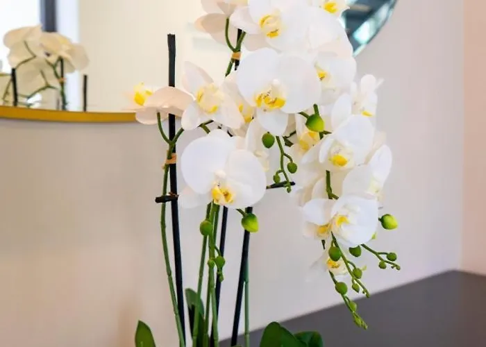 Ultra Luxury 5 Bedroom Retreat With Rooftop Solarium فيلة